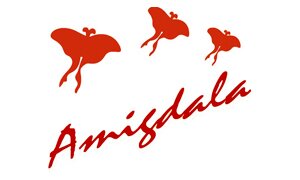 amigdala