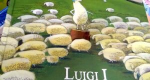 luigi-i-re-delle-pecore